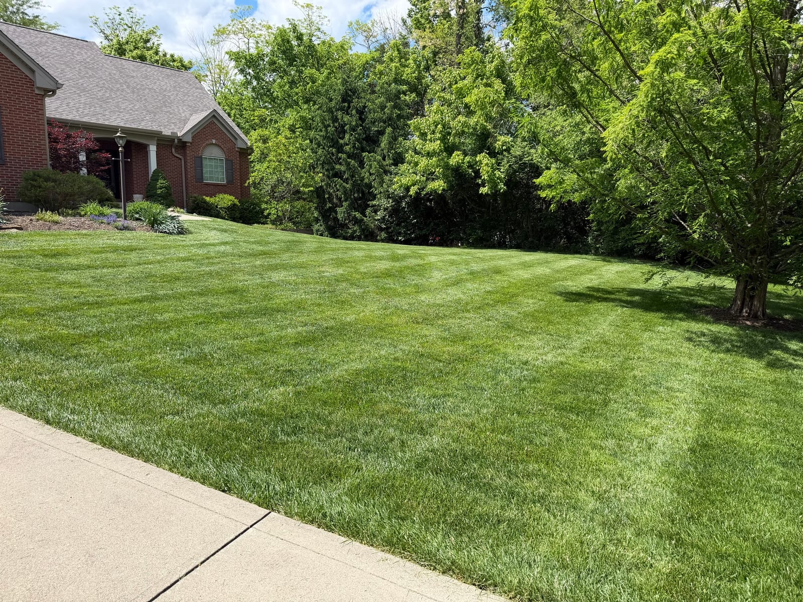 Recent lawn care work by Ohio Yard Pros in Warren County, OH.